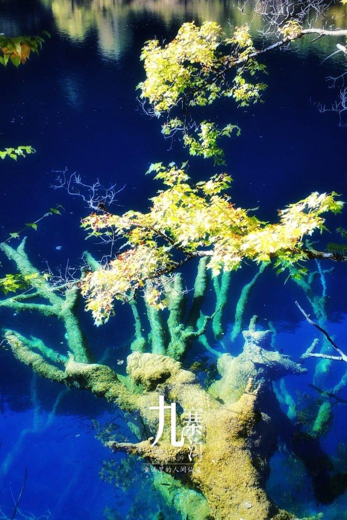 逃出安逸小乡村