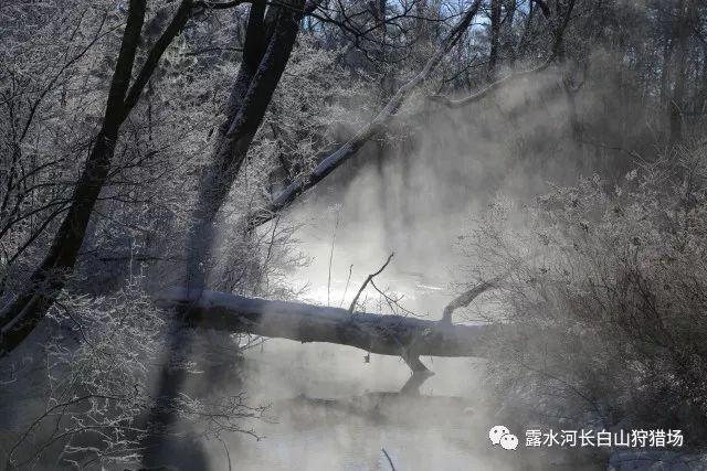 彩虹六号围攻