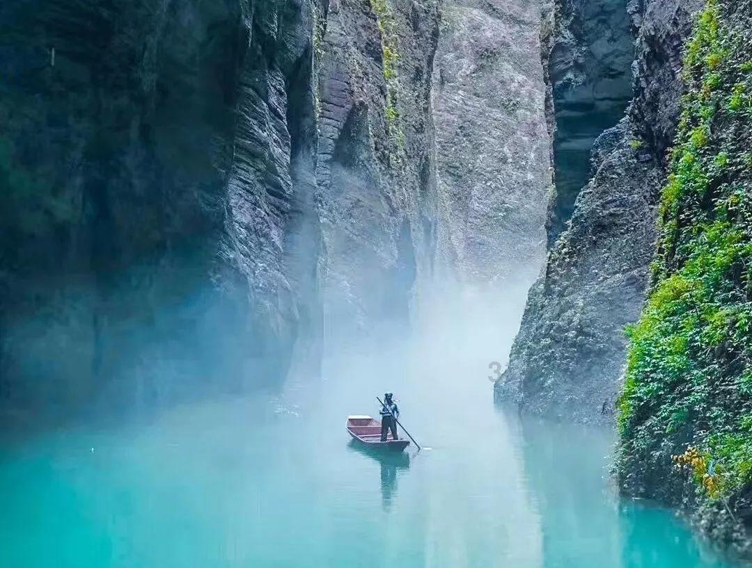人类：一败涂地