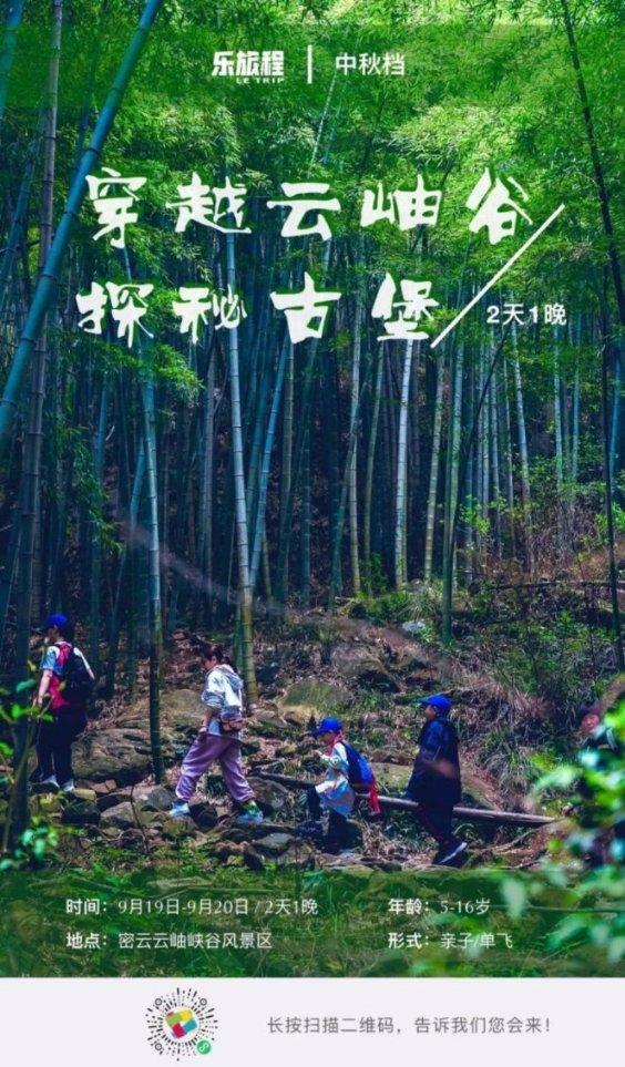 完美的收藏品