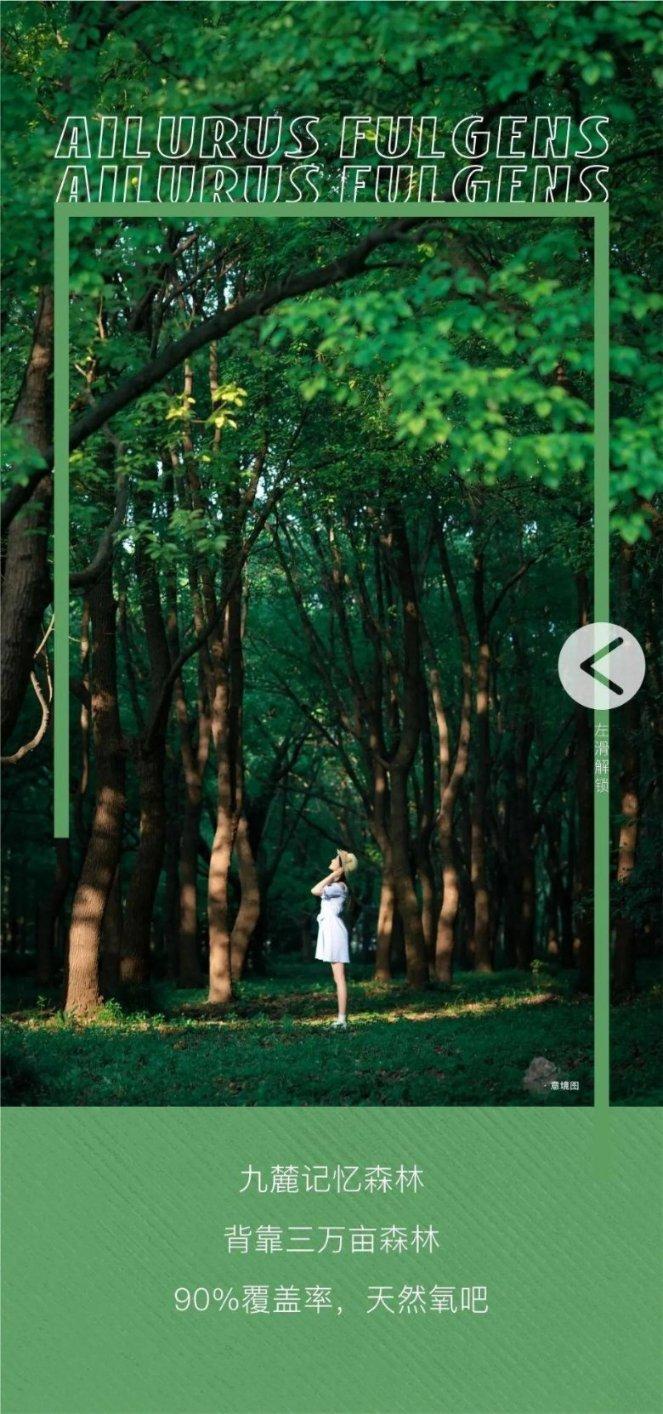 抢订单拼创新,南京低空经济加速“飞”