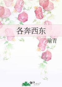 海盗寻宝记
