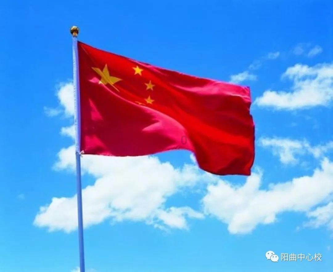 破碎的动物图形