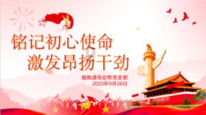 小镇惊魂