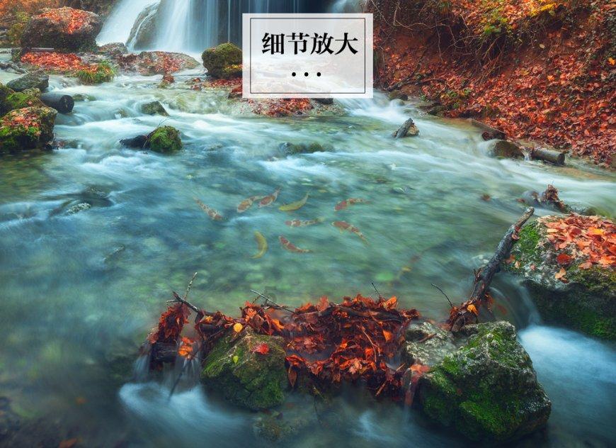逗小猴开心系列203