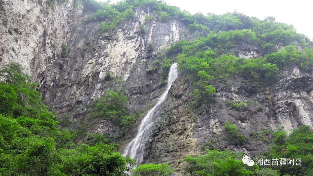动物帮帮忙保卫家园