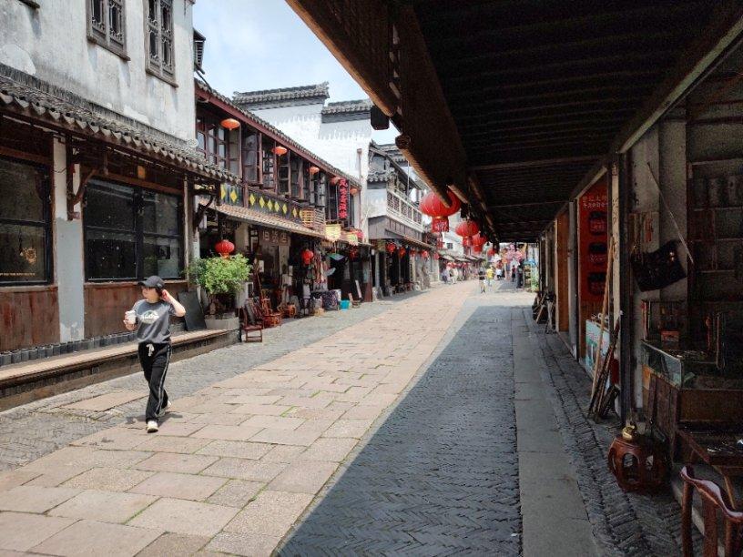 阴暗森林
