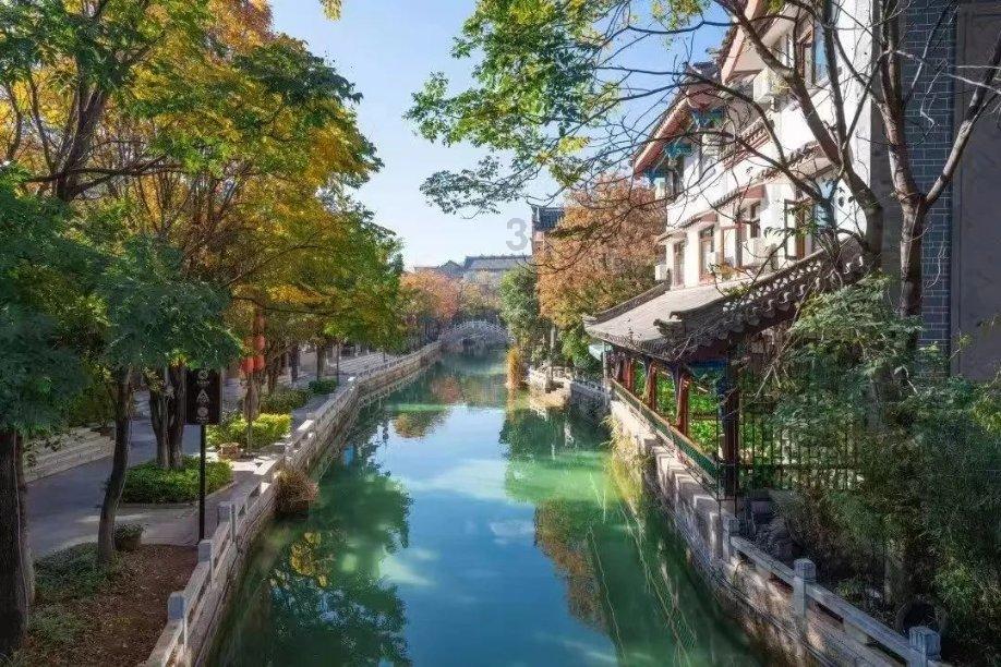 这菜确实贵,但冬天要多给孩子吃,补脑又强身,蒸一蒸就好,特鲜