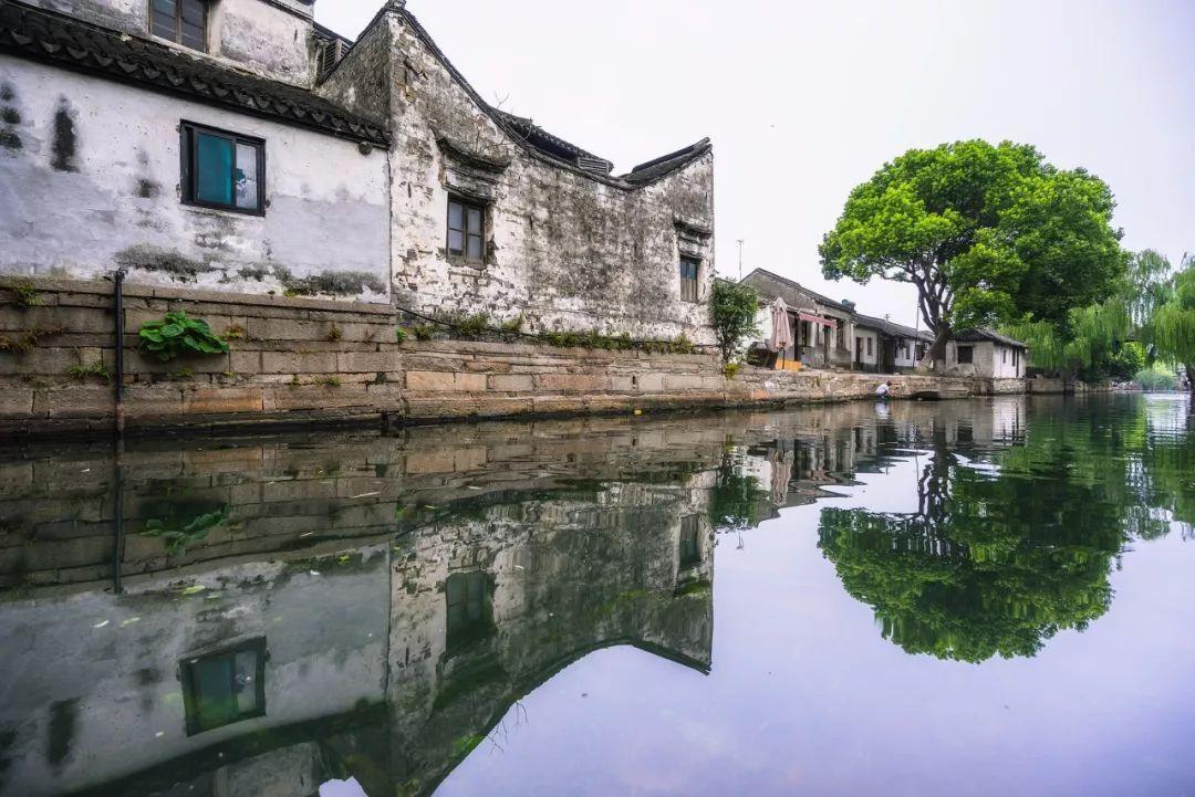 玫瑰花的样子，有哪些？游戏画面