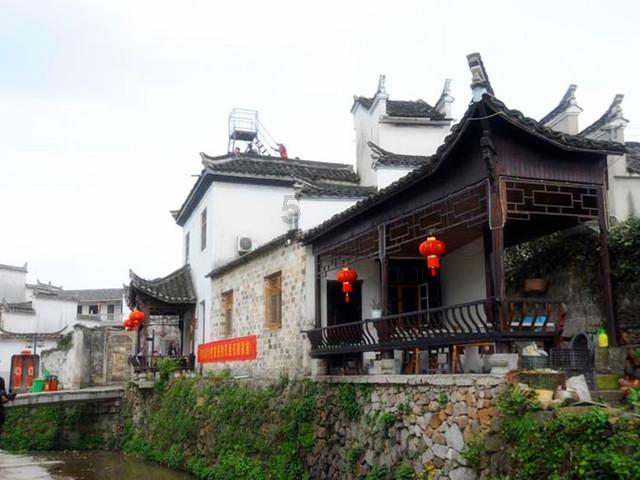 动物帮帮忙保卫家园